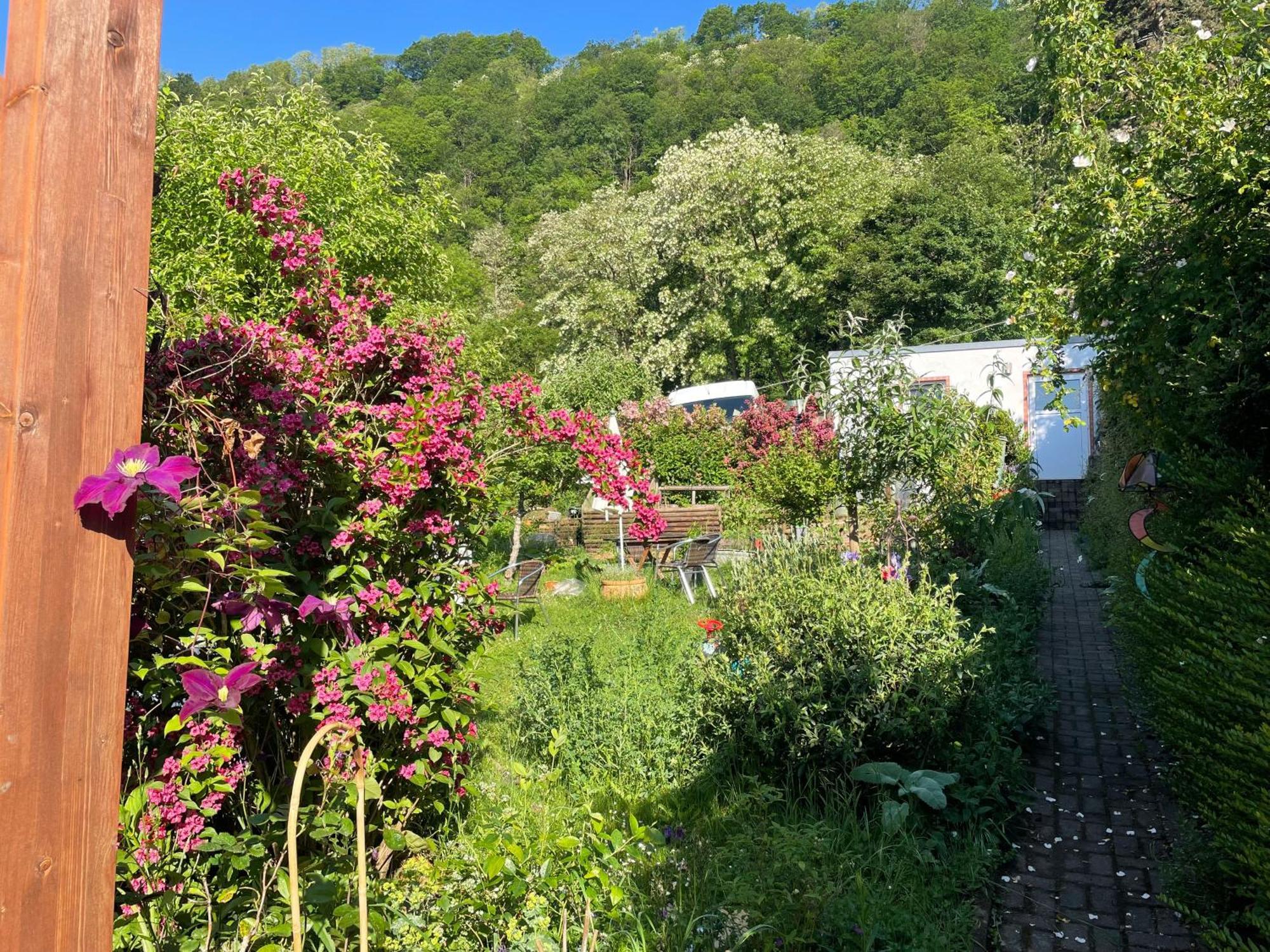 Blick Ins Gruene, Nah Am Zentrum Trier Bagian luar foto