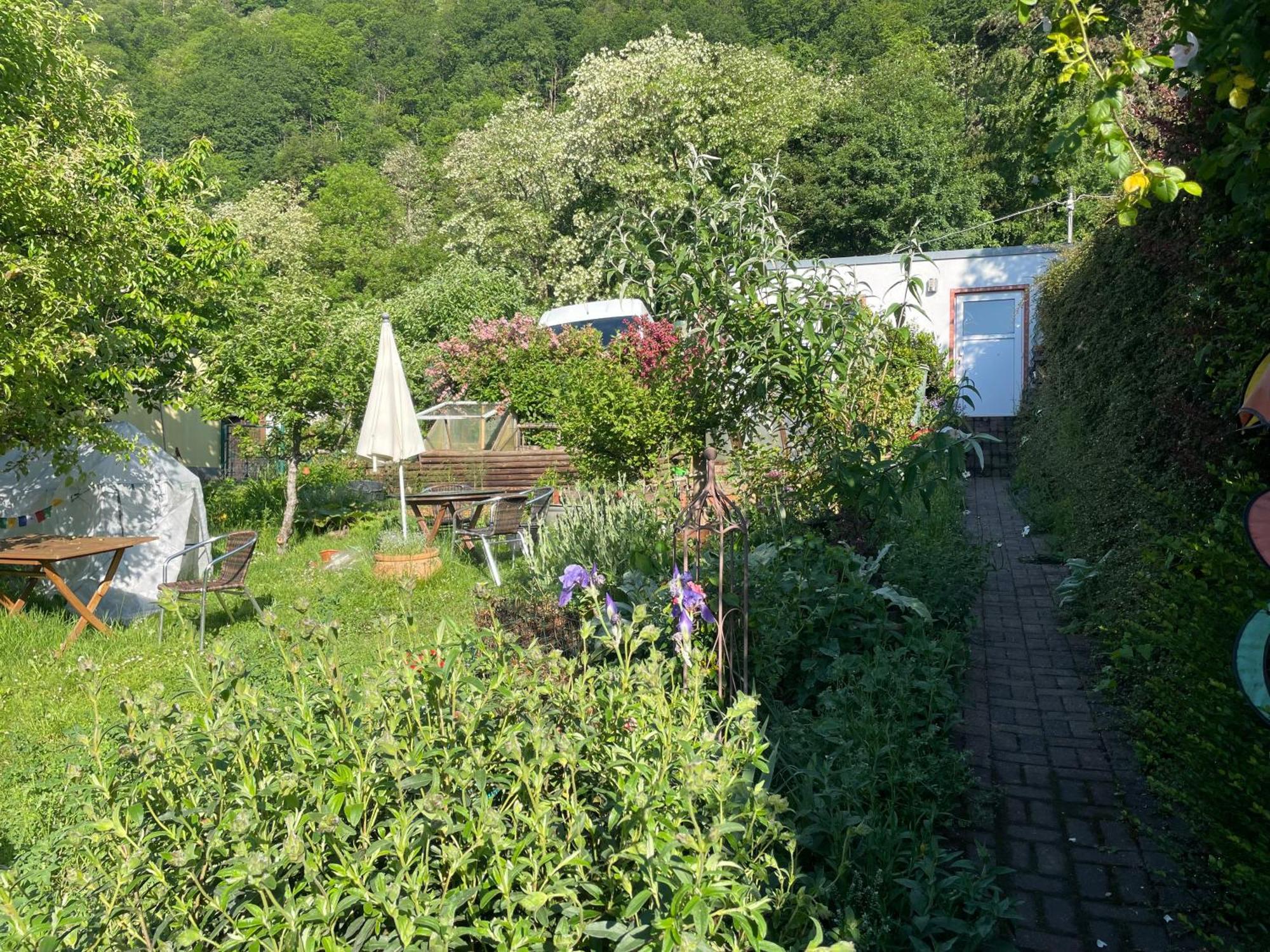Blick Ins Gruene, Nah Am Zentrum Trier Bagian luar foto
